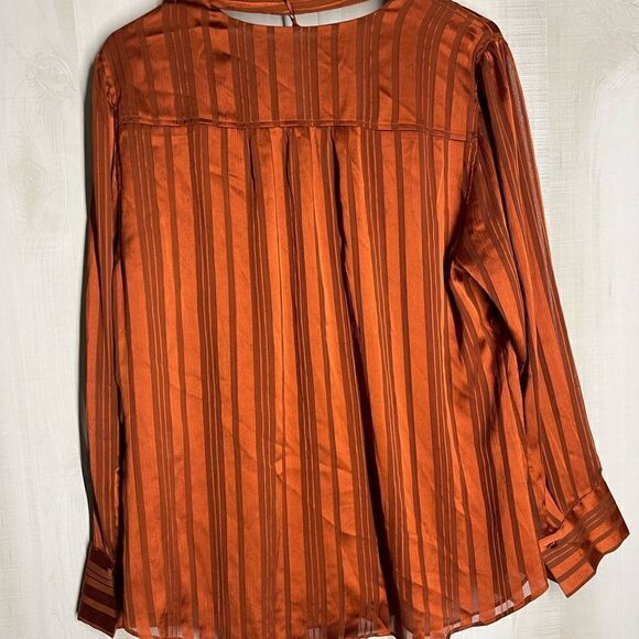 Chico’s rust color blouse‎ button front with scarf, size 2, size 12/14. - Picture 4 of 16